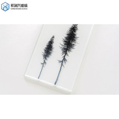 Haupterzeugnis Superklare Schichtglas für die Sicherheit von Schwimmfenstern