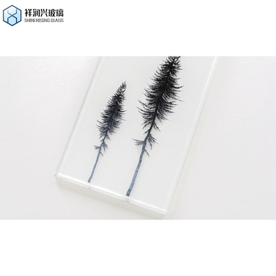 Bauglaswandplatten Flachpolierte Kante 3-30mm Transparentes Sicherheitsglas